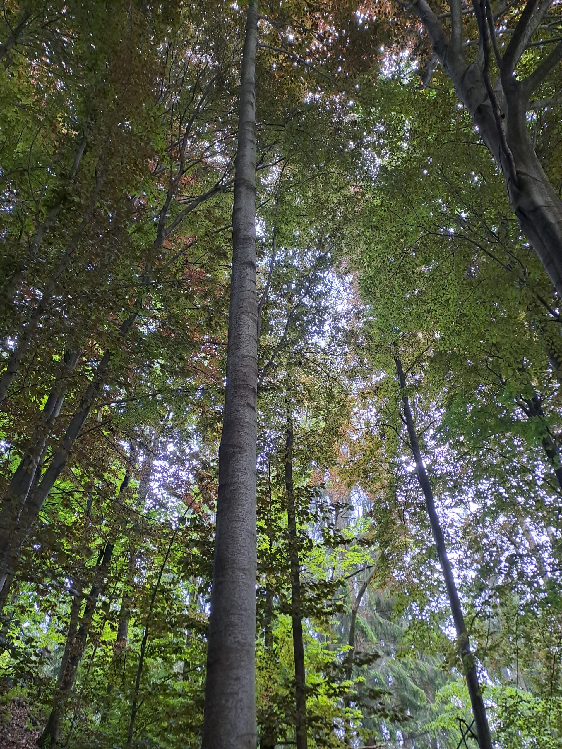 20230528_165502