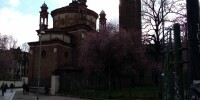 IMG_20240310_161341
